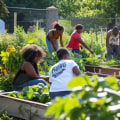 Working Together: Community Efforts Supporting Essential Services